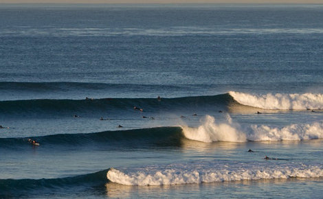 save trestles