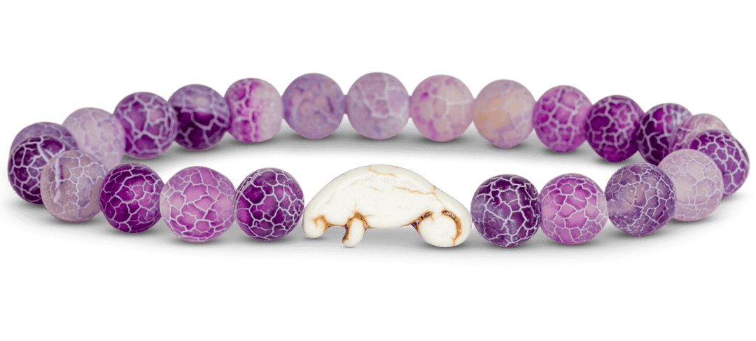 Fahlo The Drift Bracelet - CORAL REEF VIOLET - Sun Diego Boardshop