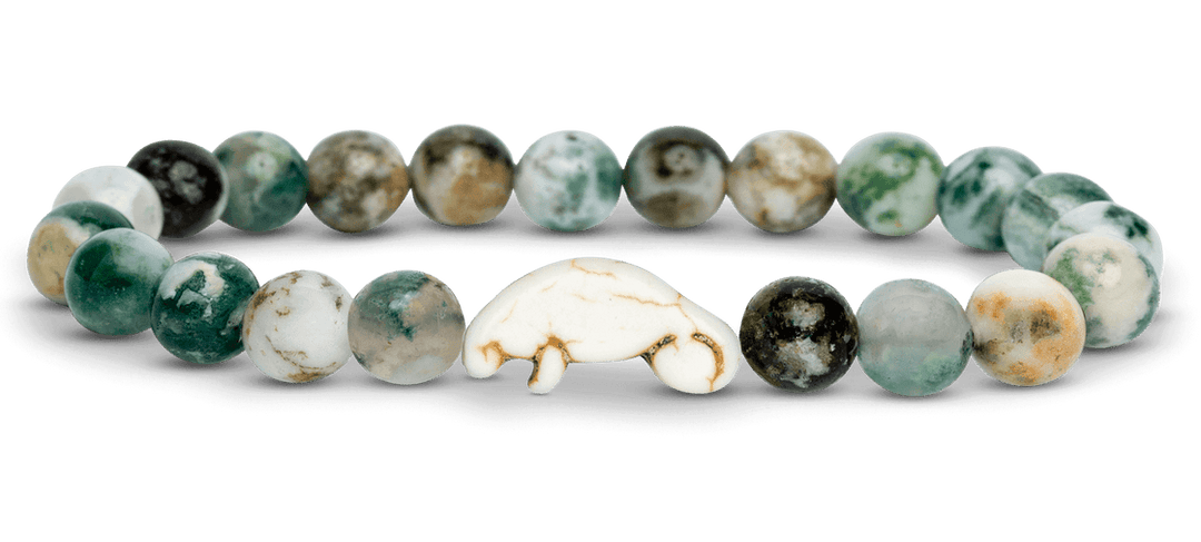 Fahlo The Drift Bracelet - SEAGRASS GREEN - Sun Diego Boardshop