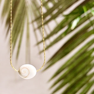 Salty Cali SHIVA ~ SALTY SHELLS - NA - Sun Diego Boardshop