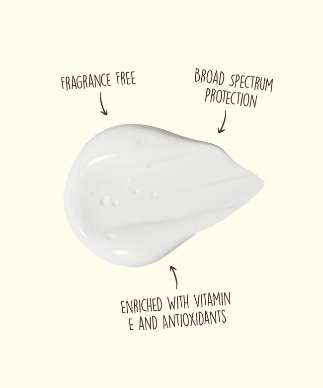 Sun Bum Original SPF 50 Sunscreen Face Lotion - NA - Sun Diego Boardshop