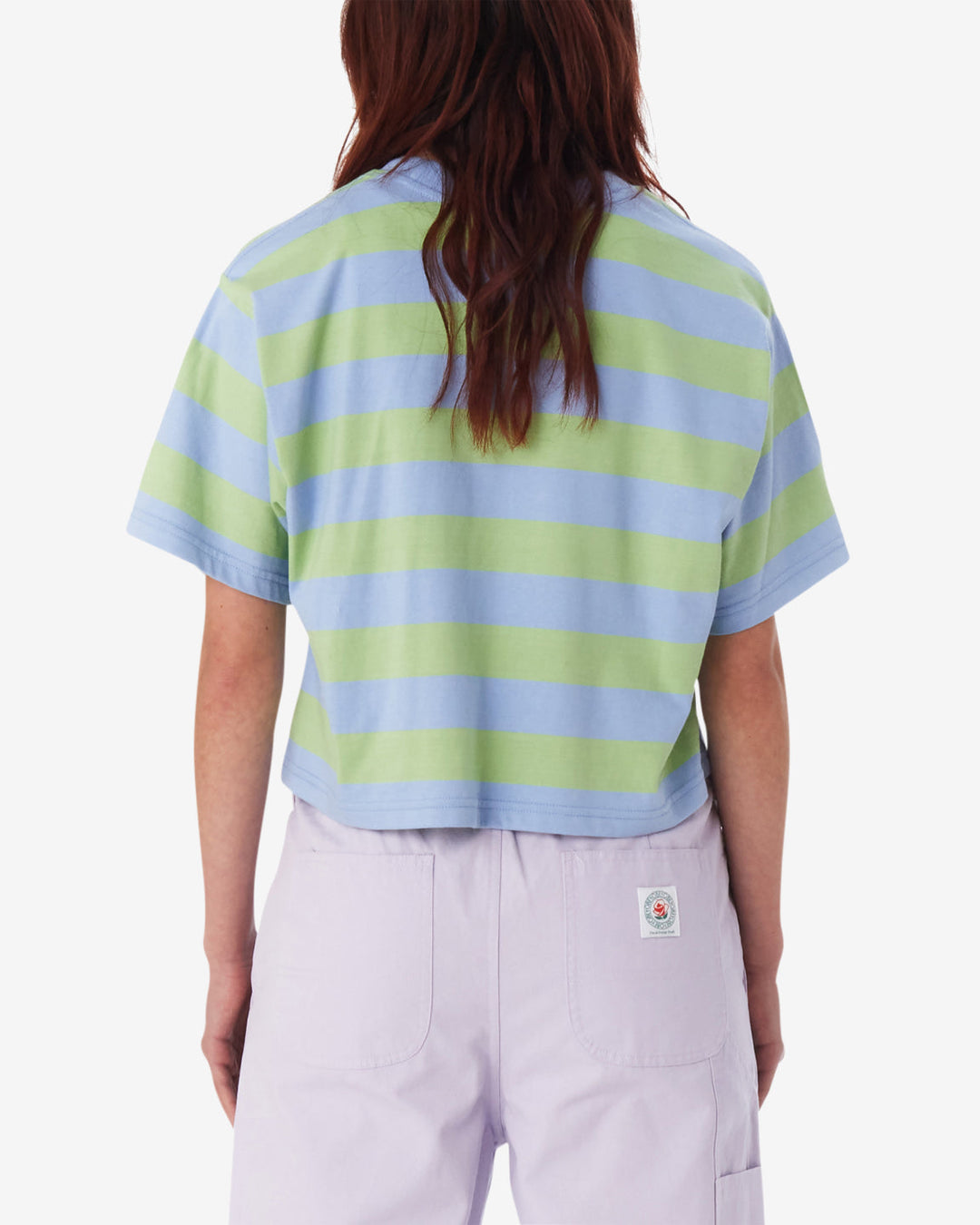 Obey Adams Stripe Cropped T-Shirt - HYDRANGEA MULTI - Sun Diego Boardshop