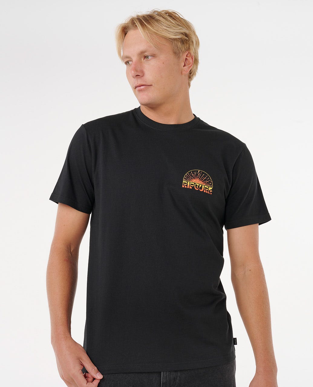 Rip Curl Grateful Shred Standard Tee - Black - Sun Diego Boardshop