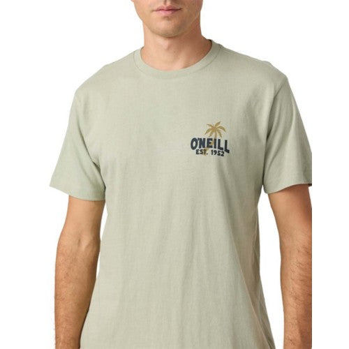 O'Neill Axelrad Standard Fit Tee - Seagrass - Sun Diego Boardshop