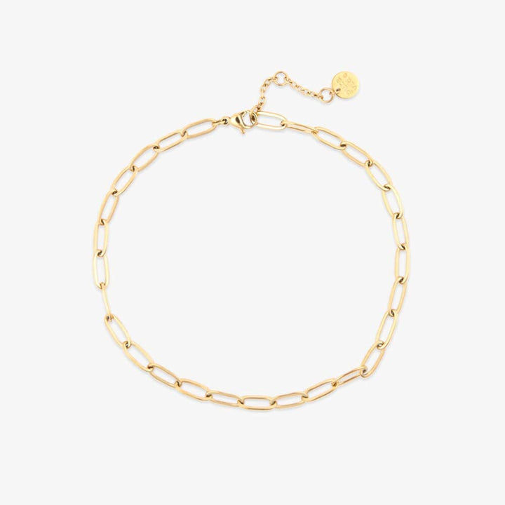 Pura Vida Harper Paperclip Chain Anklet - Gold