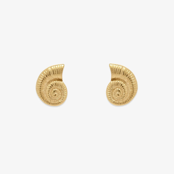 Pura Vida Seashell Stud Earrings - Gold