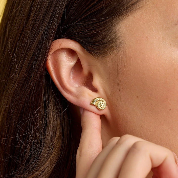 Pura Vida Seashell Stud Earrings - Gold