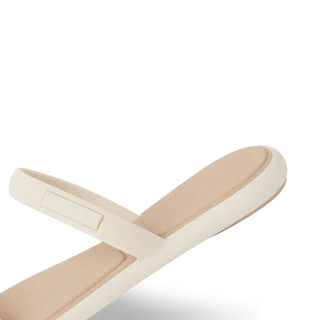 Reef Water Willow Marina - Vintage - Sun Diego Boardshop