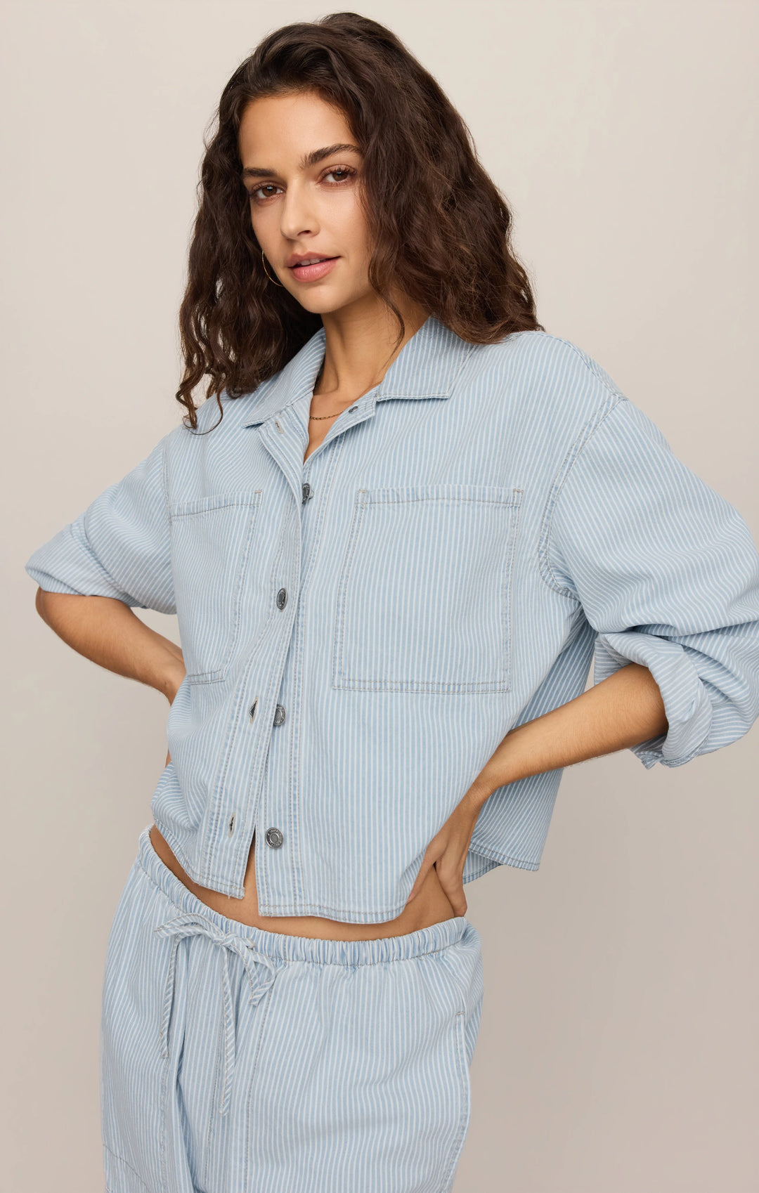 Z-Supply Women's Soft Denim Carpenter Pant - Seaboard Stripe