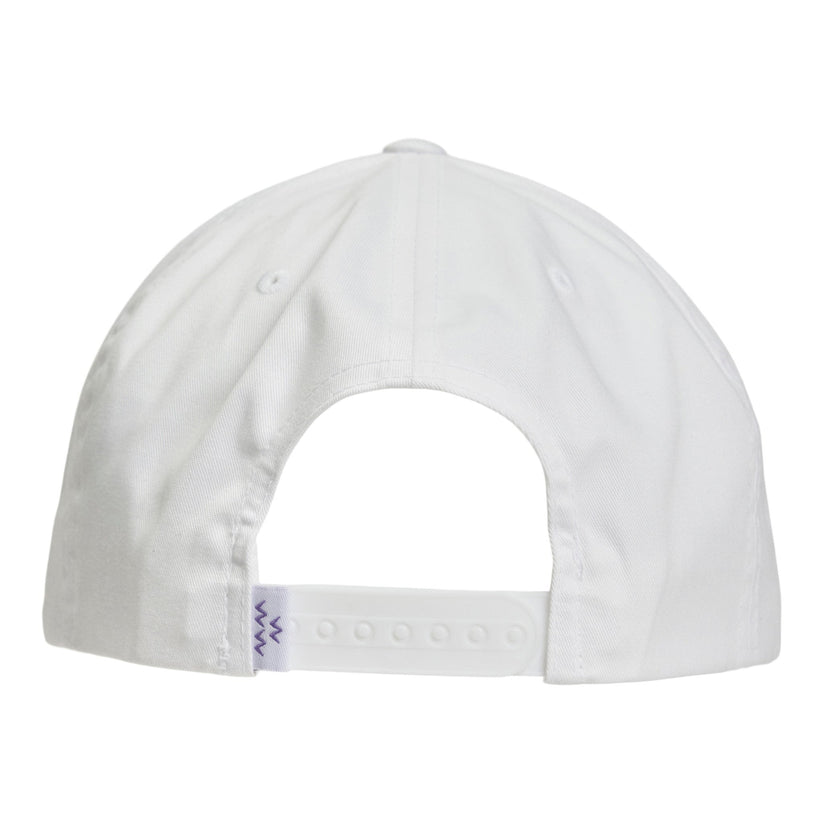 Birds Of Condor Swing Easy Snapback - WHITE - Sun Diego Boardshop