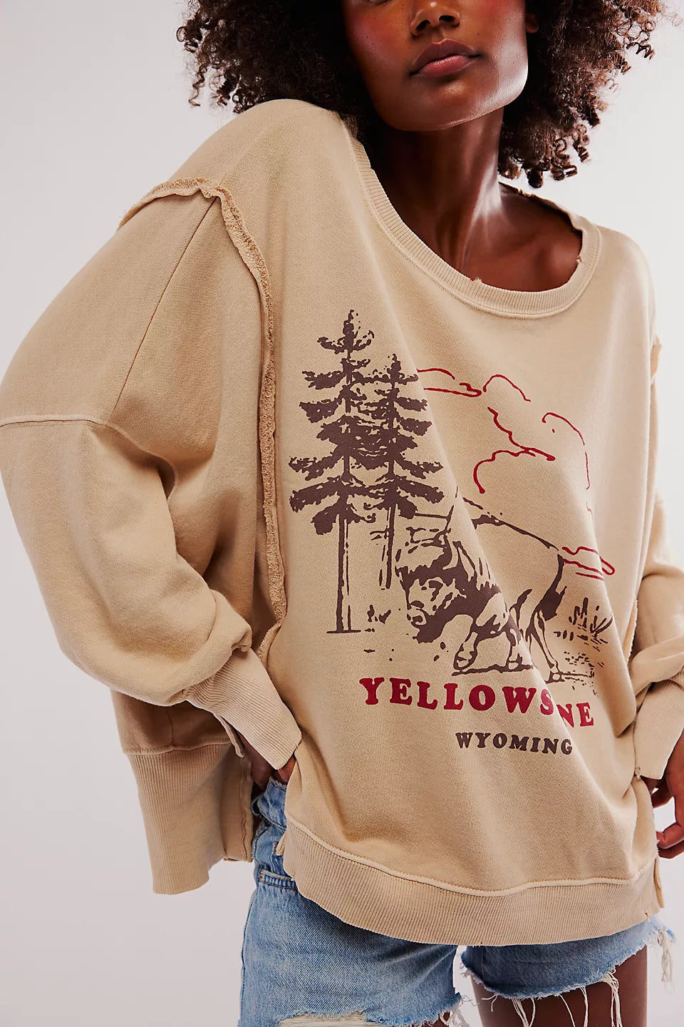 Free People We The Free Graphic Camden Pullover - YELLOWSTONE BISON - Sun Diego Boardshop